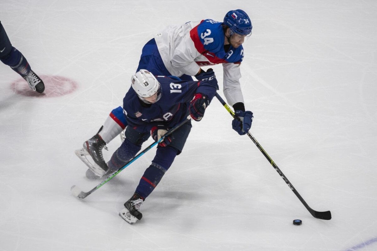 Zápas Slovenska s USA