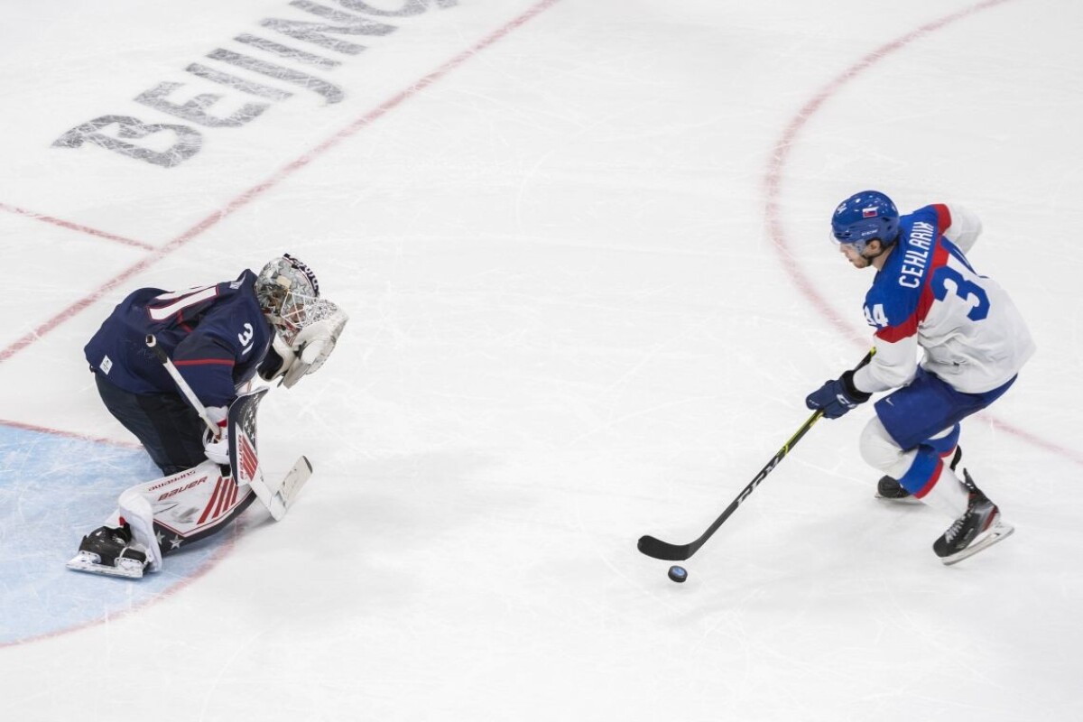 Zápas Slovenska s USA