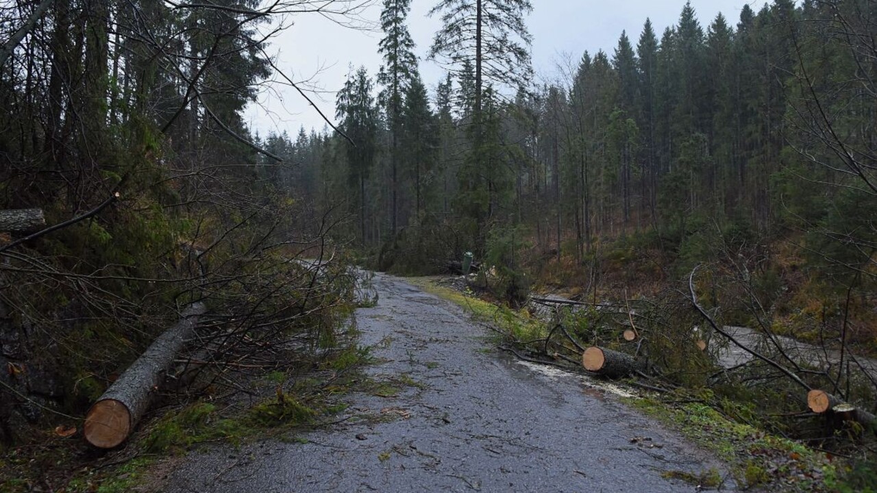 Víchrica v Poľsku si vyžiadala obeť, dôchodcu v aute zavalil strom