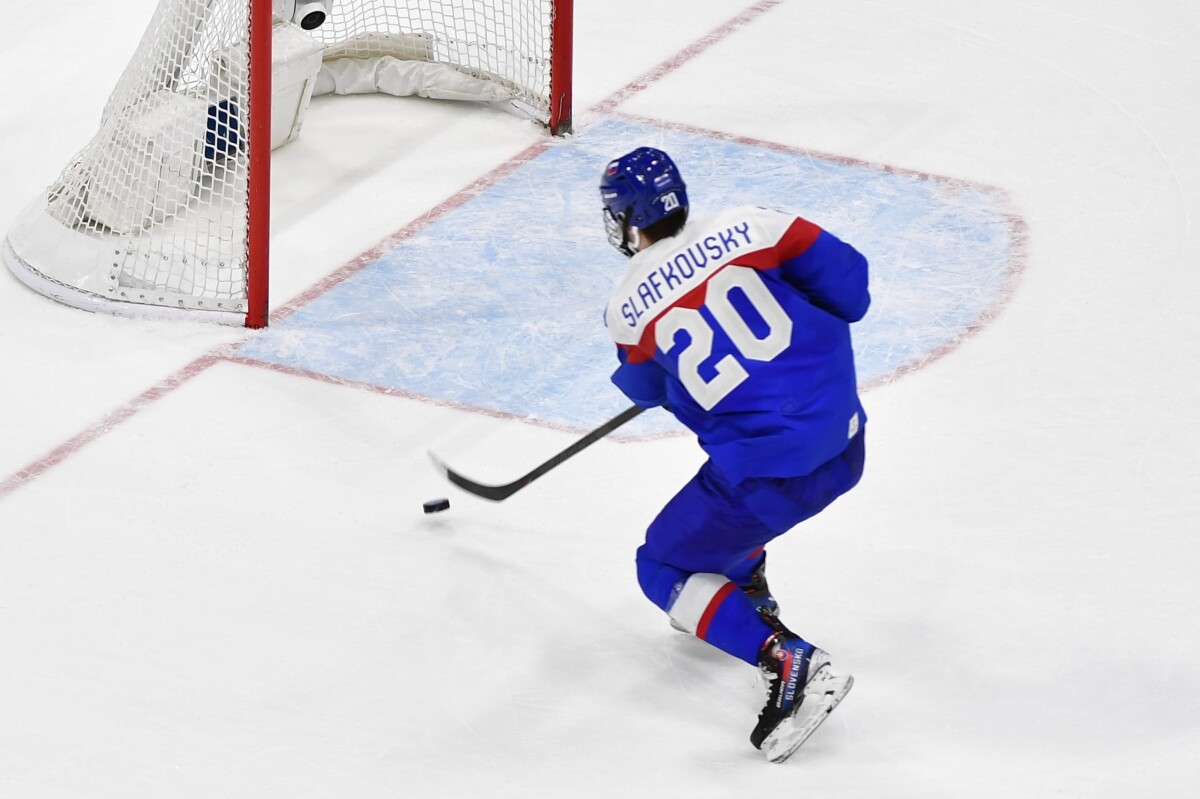 Zápas Slovensko - Švédsko