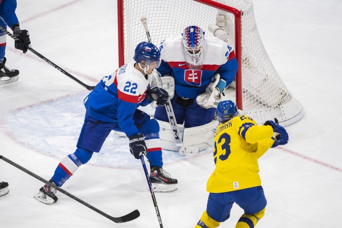 Zápas Slovensko - Švédsko