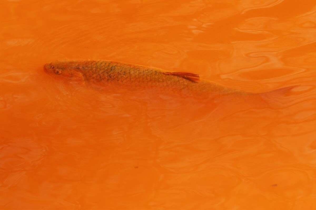 Rieka v obci Nižná Slaná.