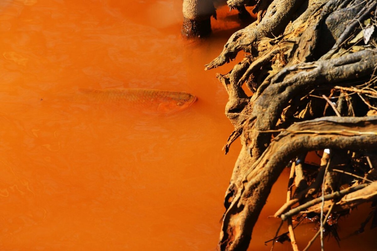Rieka v obci Nižná Slaná.