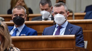 Pellegrini by na mieste Hegera do Kyjeva išiel, Sulík naopak premiéra podporil