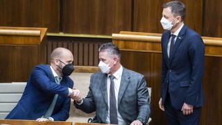 Plénum národnej rady Mikulca neodvolalo, minister vnútra zostáva vo funkcii