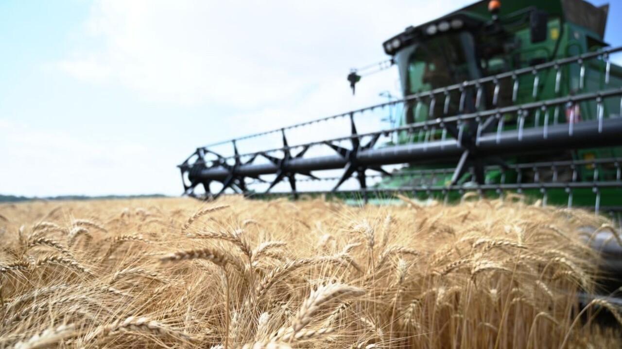Rusko plánuje dovážať pšenicu len do spriatelených krajín. Našťastie ich máme veľa, hovorí Medvedev