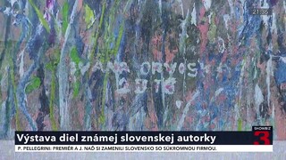 Maľuje to, čo ju osloví. Výtvarníčka Orviská predstavila svoj pohľad na svet