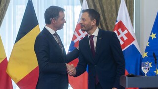 Heger vyzval partnerov k solidarite pre prípad odpojenia EÚ od dodávok energií z Ruska