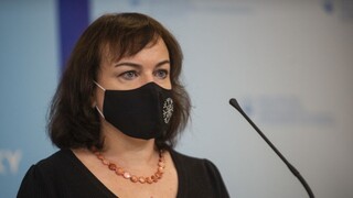 Fico by sa mal vzdať poslaneckého mandátu, myslí si Petková