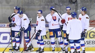 Naši hokejisti si zmerajú sily pred majstrovstvami sveta so susedným Českom
