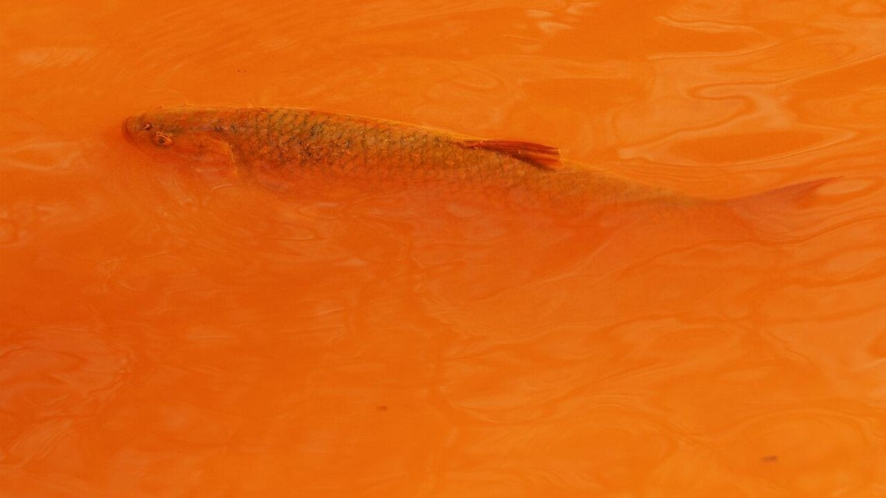 Červená rieka mnohých vystrašila. Zistili, čo je príčinou jej znečistenia