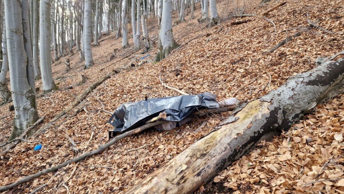 Zrážka dvoch vetroňov.