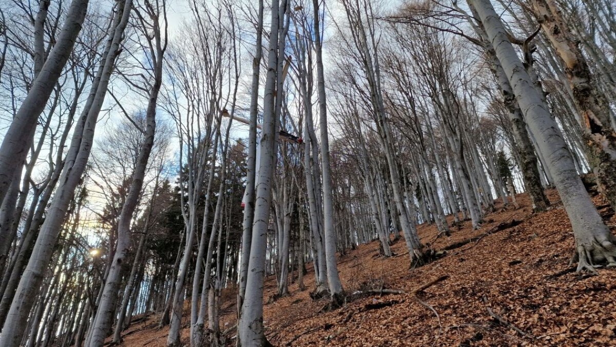 Zrážka dvoch vetroňov.