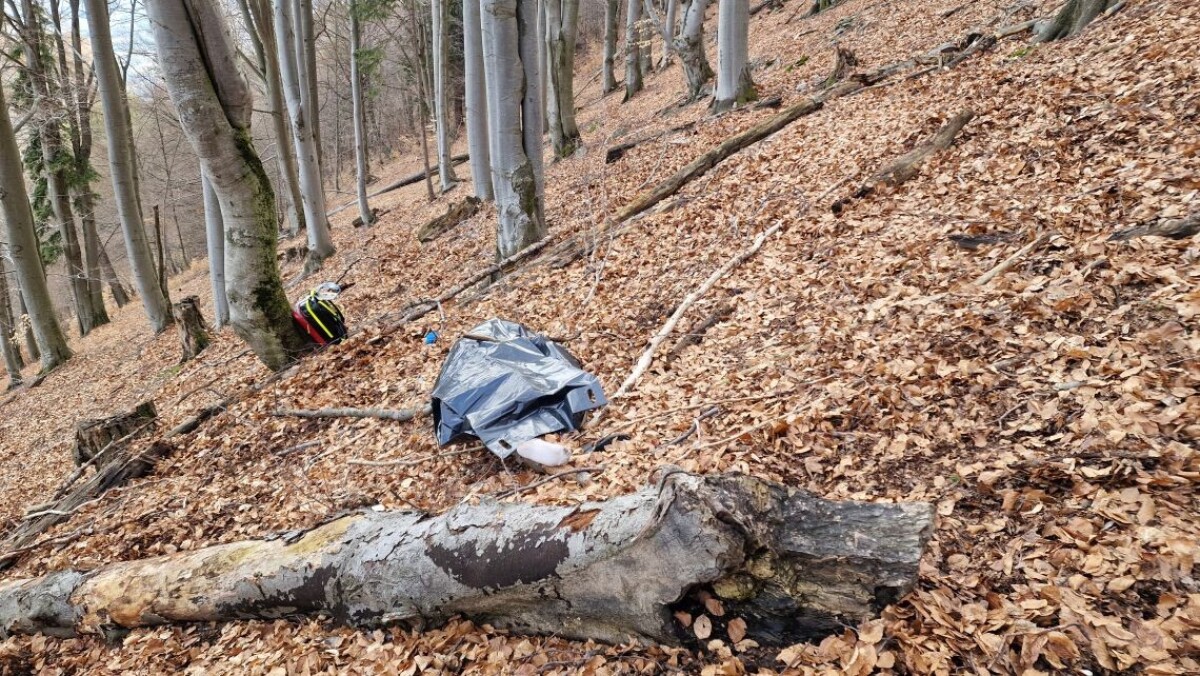 Zrážka dvoch vetroňov.