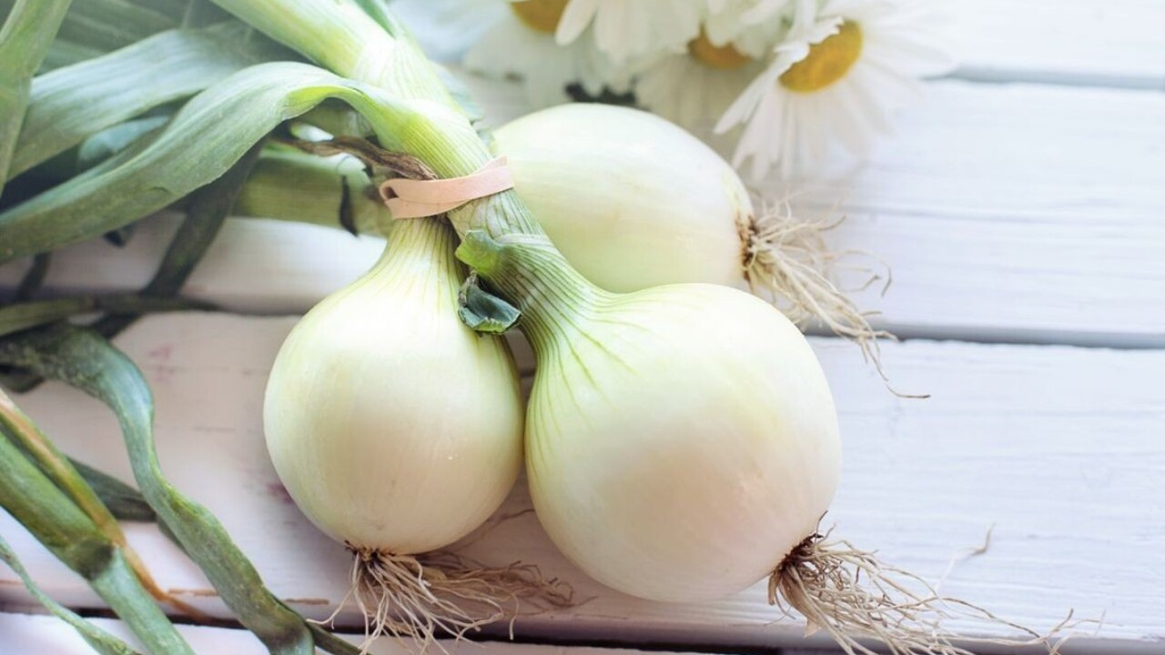 Proti komárom, fľakom od potu aj na čistenie grilu: Cibuľové triky vám uľahčia život