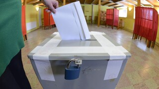 Voľby do europarlamentu a prezidentské voľby by sa mohli konať v jeden deň