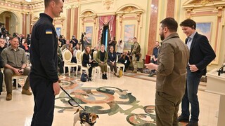 Za službu vlasti získal od Zelenského medailu. Ukrajinský líder ocenil psa Patrona, ktorý vyňuchal viac ako 200 mín