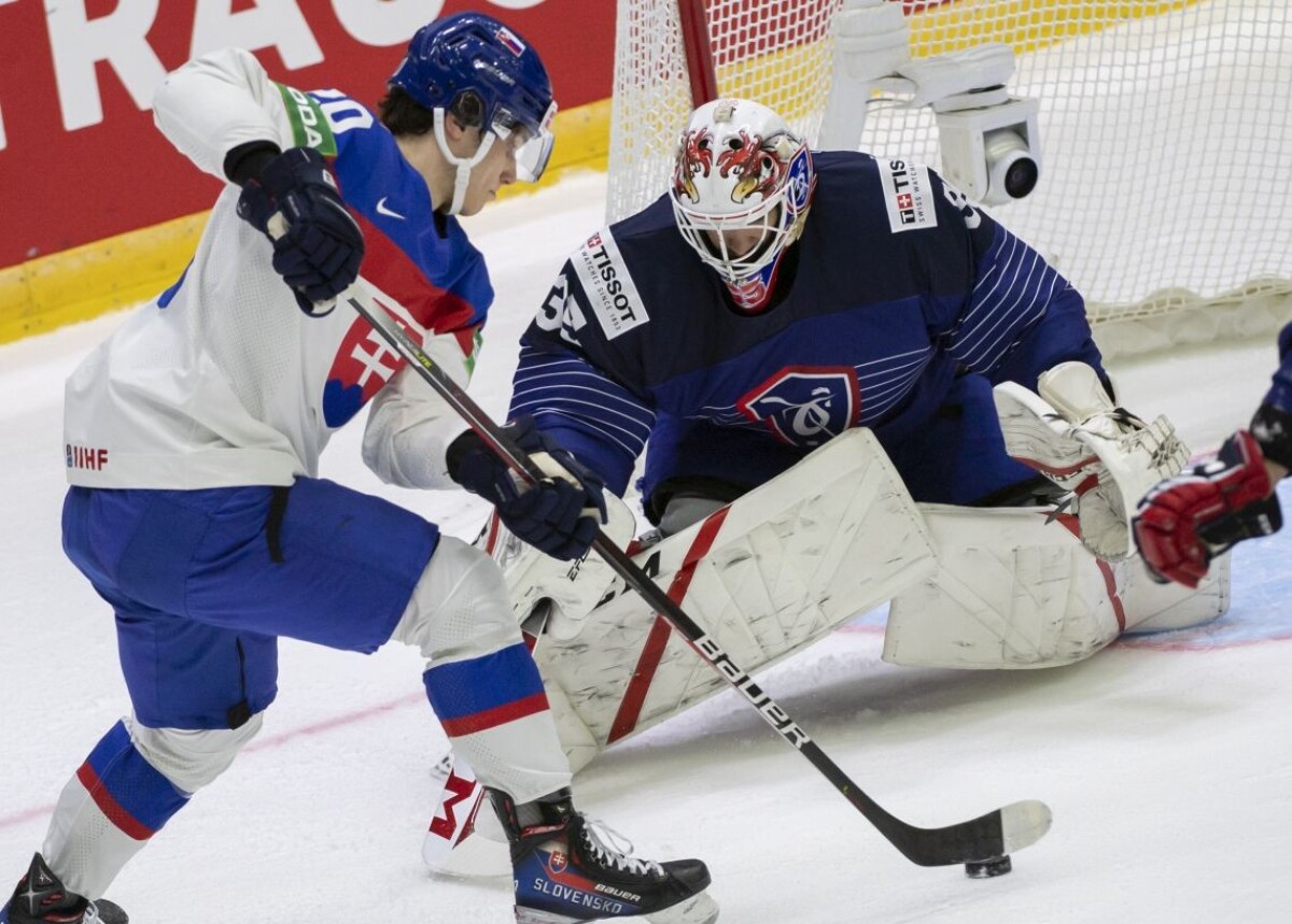 Francúzsko verzus Slovensko