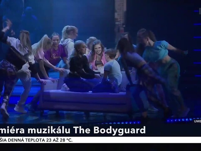 bodyguard_8.jpg