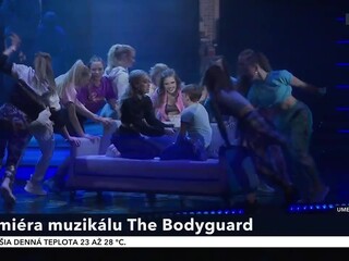 bodyguard_8.jpg