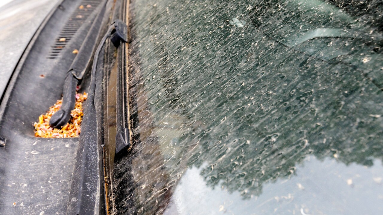 Na autách či balkónoch už žltý povlak nenájdete. Peľová sezóna ihličnanov sa končí