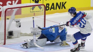 Najproduktívnejším hráčom MS bol český útočník Červenka. Zo Slovákov triumfoval aj Slafkovský