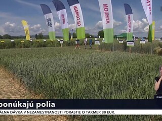 vystava_6.jpg