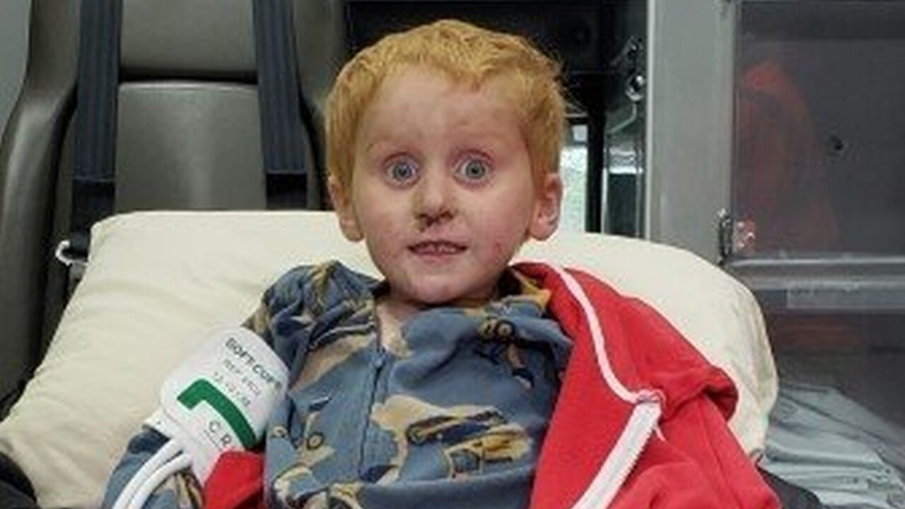 V lese sa stratil trojročný chlapec. Po dvoch dňoch ho našli kilometre od domova