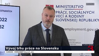 TB M. Krajniaka a K. Zimmera o vývoji na trhu práce