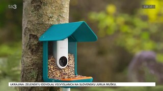 Inteligentné kŕmidlo pre vtákov zachytí krásne snímky operencov