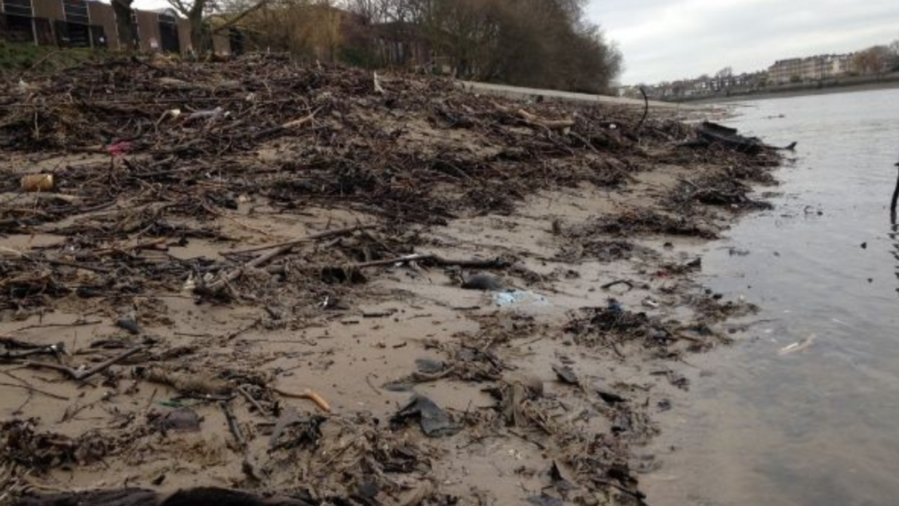 V londýnskej Temži sa vytvoril ostrov z vlhčených obrúskov. Ohrozuje tok rieky, môže ho zmeniť
