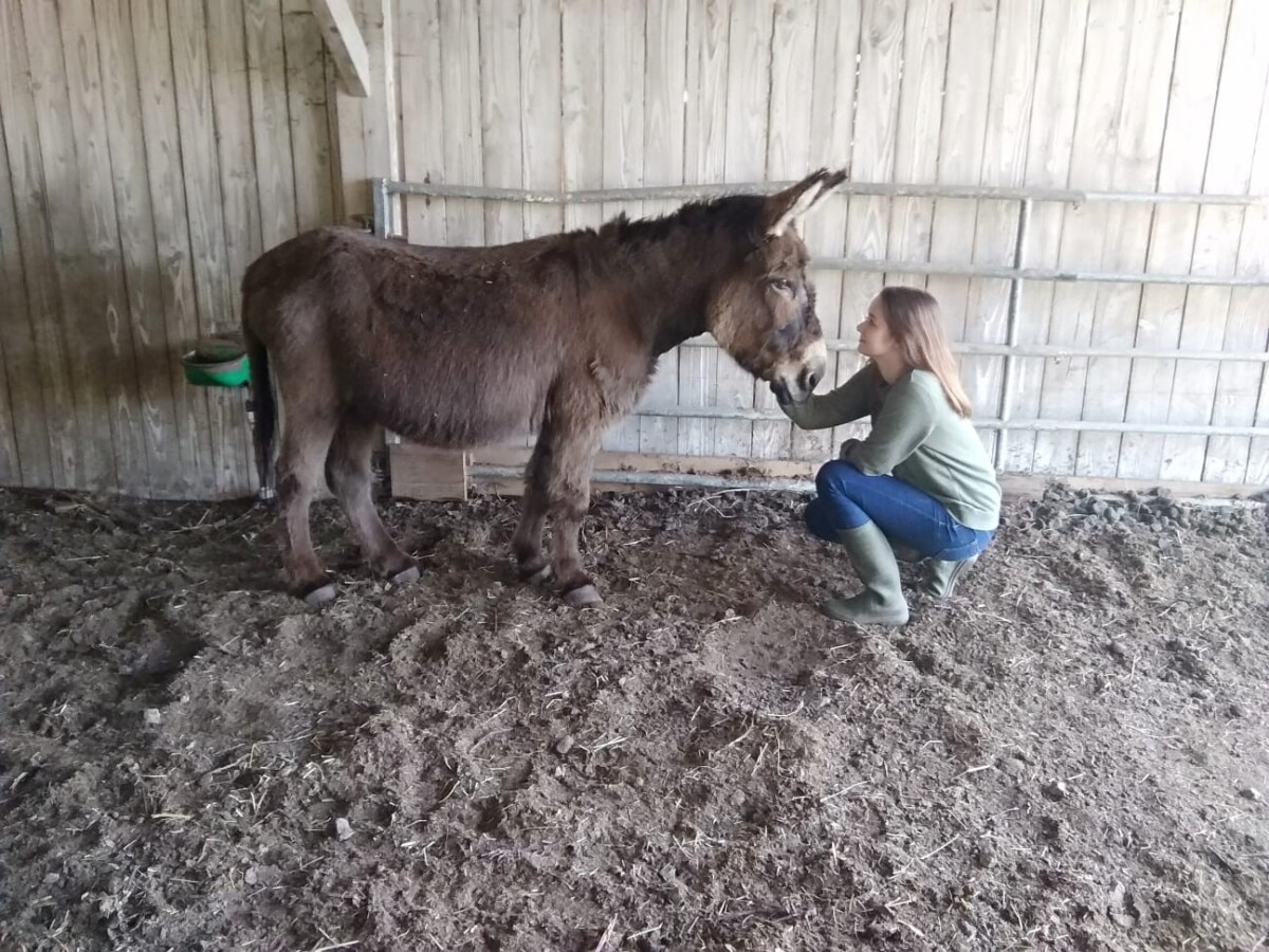 Michaela vo Francúzsku na farme
