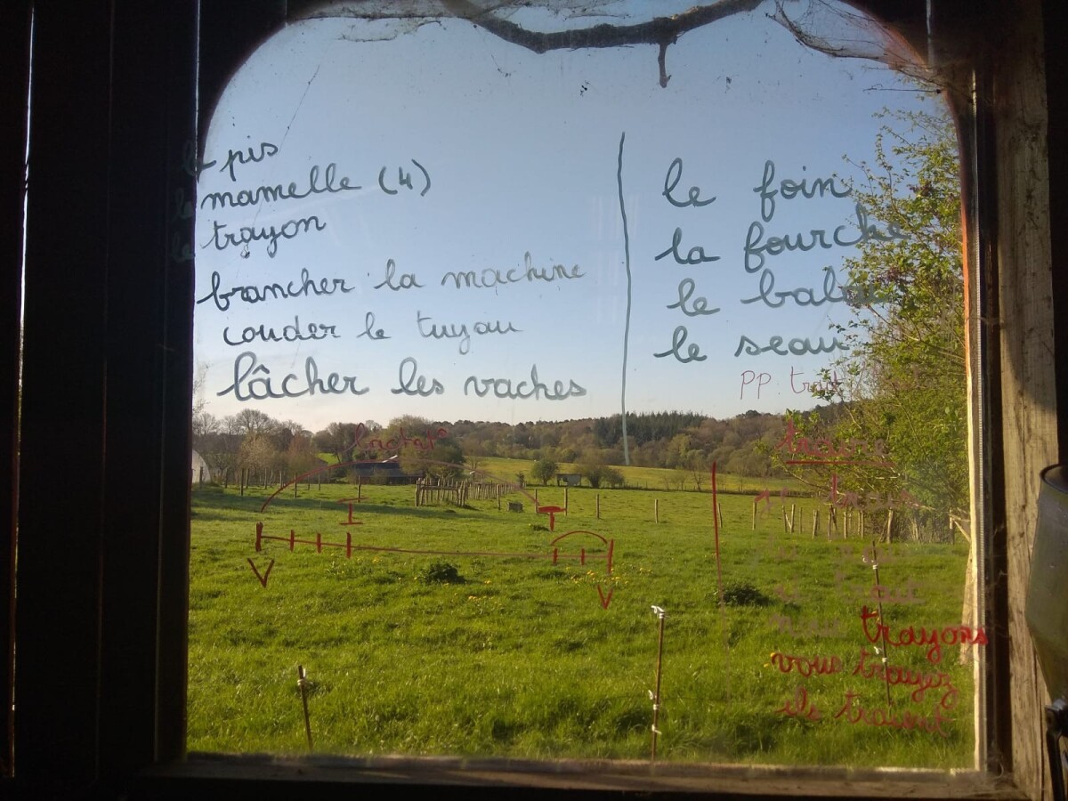 Michaela vo Francúzsku na farme