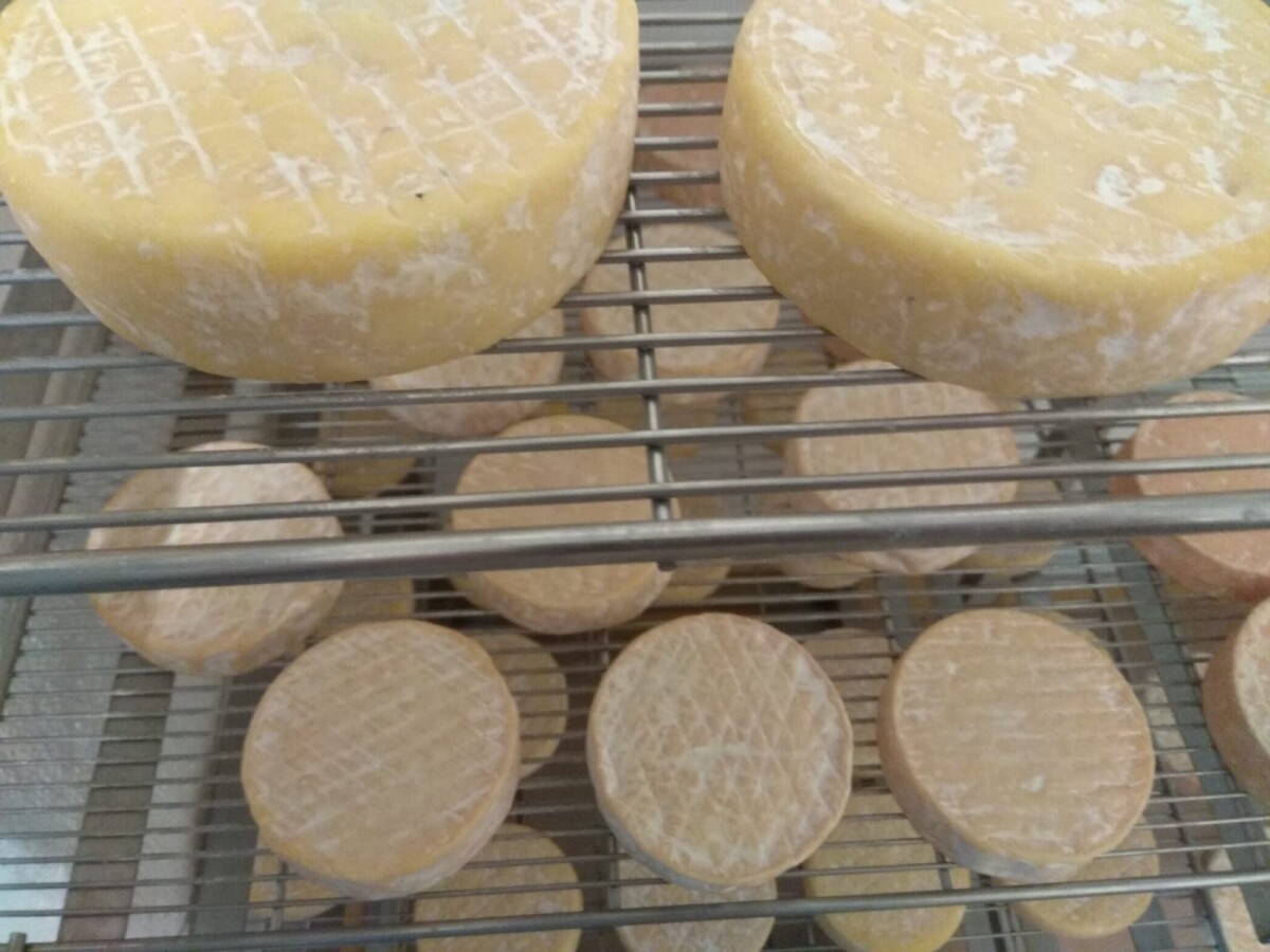 Na francúzskej farme sa naučila dojiť kravy a vyrábať syr