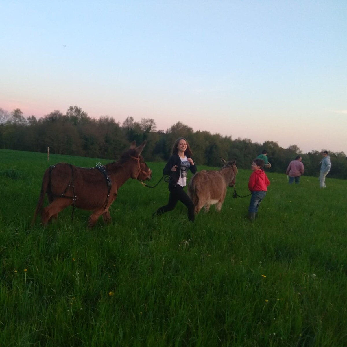 Michaela vo Francúzsku na farme