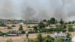 Horúčavy neustupujú. V Grécku za posledných 24 hodín vypuklo vyše 50 lesných požiarov