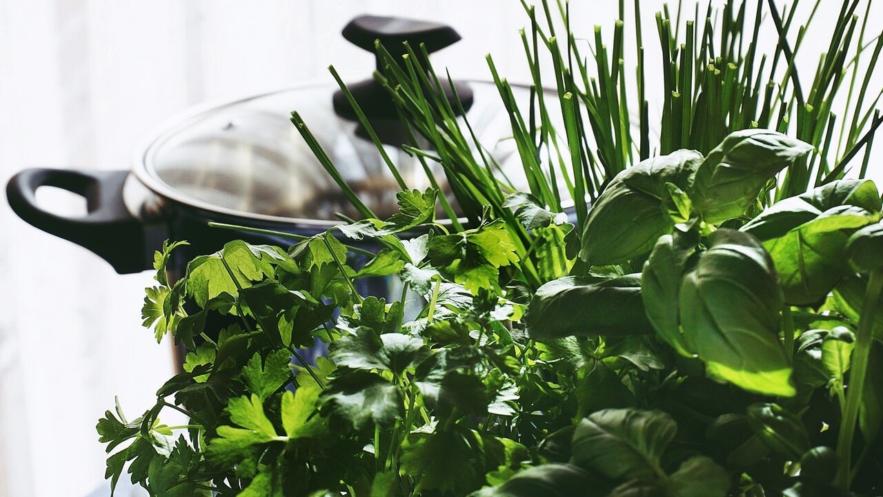 Bylinkový herbár: Ktorá utíši migrénu, aká pomôže tráveniu a čo je proti stresu?