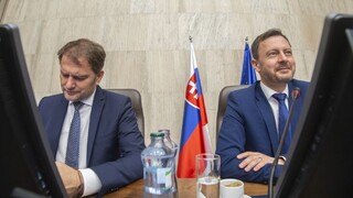 Koalícia jednoznačne smeruje k rozpadu, tvrdí politologička. Očakáva predčasné voľby