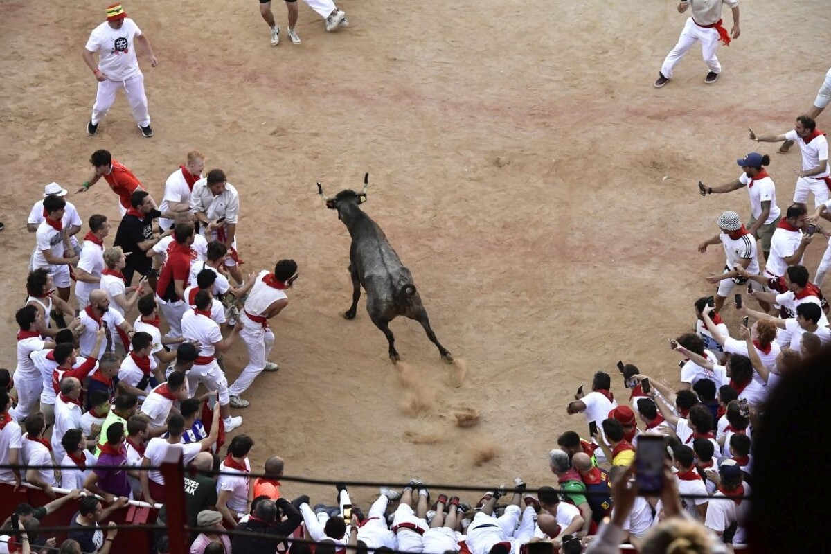 Beh pred býkmi - Pamplona