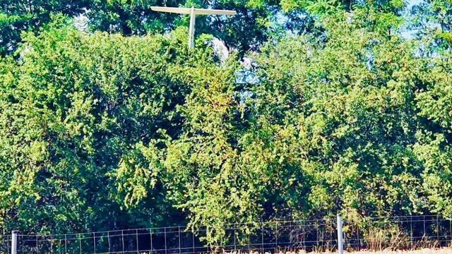 Letecká nehoda pri Bánovciach. Pilot nezvládol manéver, zasekol sa v korunách stromov