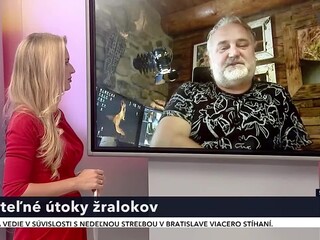 20220718_studio_ta3_utoky_zralokov_1.jpg