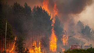Z domov zostal iba popol a dym. Zmena klímy je zabijak, vyhlásil španielsky premiér