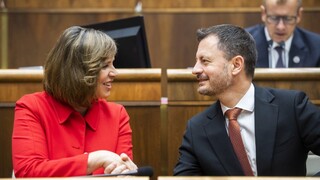 Vláda by mala pokračovať v štvorkoalícii, myslí si Remišová. Víta Hegerovu snahu urovnať spory