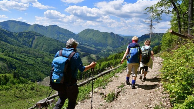 Turistiku môže výrazne znepríjemniť. Tejto rastline sa vyhýbajte, je zdraviu nebezpečná
