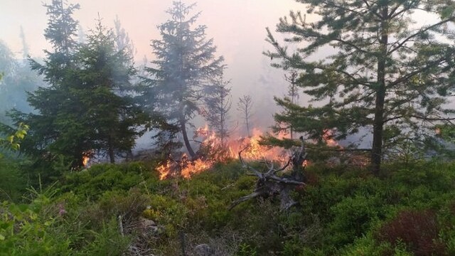 Vo Vysokých Tatrách horelo. Plamene zachvátili mladinu vo Velickej doline