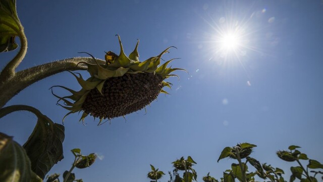 Na Slovensku padla štyridsiatka. Vysokú teplotu namerali na juhu