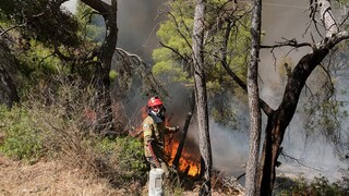 Grécko je v jednom ohni. Rozsiahly lesný požiar v regióne Evros sa stále nepodarilo uhasiť