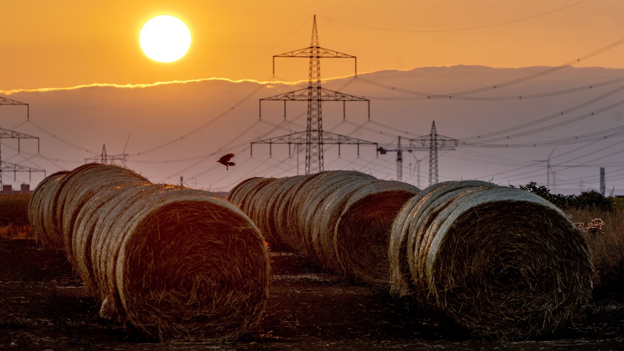 Svet si vyčerpal prírodné zdroje na tento rok. Slovensko žije na ekologický dlh už od začiatku mája