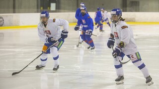 Slovenským hokejistom do 18 rokov nevyšiel vstup do turnaja Hlinka Gretzky Cup. Švédom podľahli 1:4