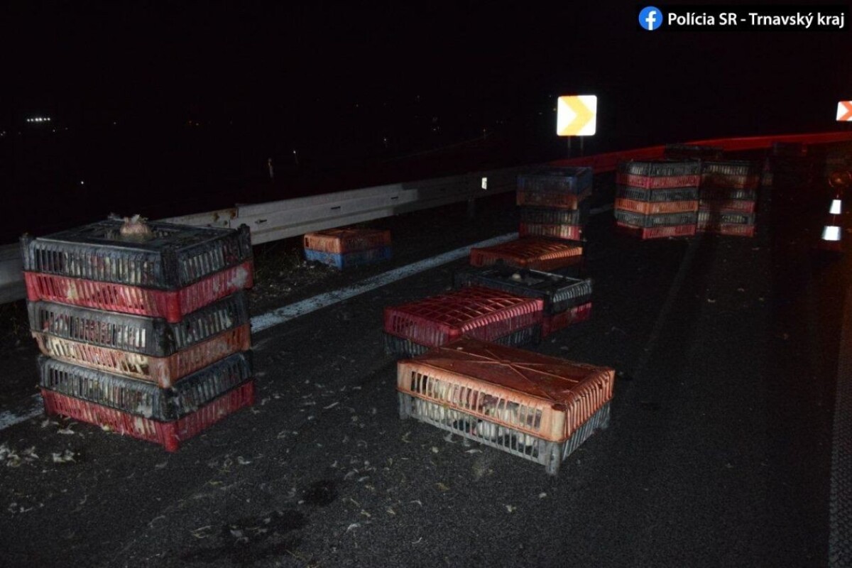 Debničky so sliepkami na D1